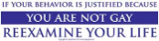 If your Behavior is Justified because You Are Not Gay Reexamine Your Life  - Bumper Sticker                                              