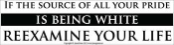 If the Source of All your Pride is Being White Reexamine Your Life  - Bumper Sticker                                                     