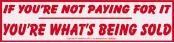 If You're Not Paying For It You're What's Being Sold - Bumper Sticker                                                     