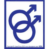 Male/Male - Bumper Sticker                                                                                                
