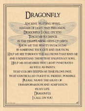 Dragonfly Poster                                                                                                        