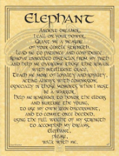 Elephant Prayer Poster                                                                                                  
