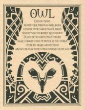 Owl Poster                                                                                                              