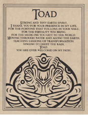 Toad Blessing Poster                                                                                                    
