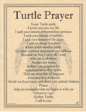 Turtle Prayer Poster                                                                                                    