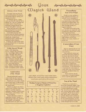 Your Magick Wand Poster                                                                                                 