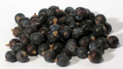 Juniper Berries Whole (Juniperus communis)  1 Lb                                                                         