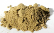 Kava Kava Root Powder (Piper methysticum)  1 Lb                                                                          