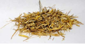 Witches Grass (Agropyron repens  Cut 2 oz)                                                                                
