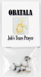 Job's Tears (seeds)                                                                                                     