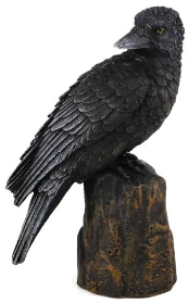 Backward Looking Raven Statue 6"                                                                                               