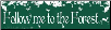 Follow Me To The Forest - Bumper Sticker                                                                                  