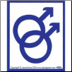 Male/Male - Bumper Sticker                                                                                                