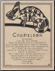Chameleon Prayer Poster                                                                                                 