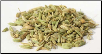 Fennel Seed 1 oz  (Foeniculum vulgare)                                                                                   