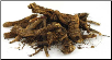 Golden Seal Root Cut 1/2 oz (Hydrastis canadensis)                                                                       
