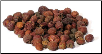 Hawthorn Berries Whole (Crataegus laevigata)  1 Lb                                                                       