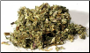 Mugwort  Cut 1 oz (Artemisia Vulgaris)                                                                                    