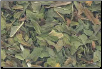 Peppermint Leaf Cut 2 oz (Mentha piperita)                                                                               