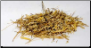 Witches Grass (Agropyron repens  Cut 2 oz)                                                                                
