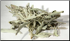Wormwood  Cut (Artemisia absinthium)  1 Lb                                                                                