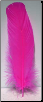Pink Feather 12"                                                                                                        